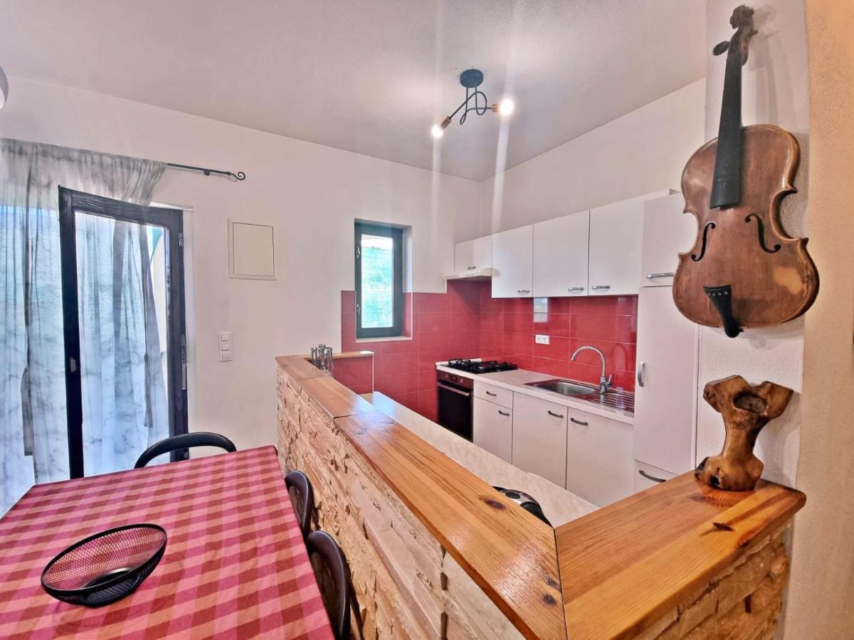 Apartman Irena With Terase End Private Parking Donji Okrug  Exterior photo